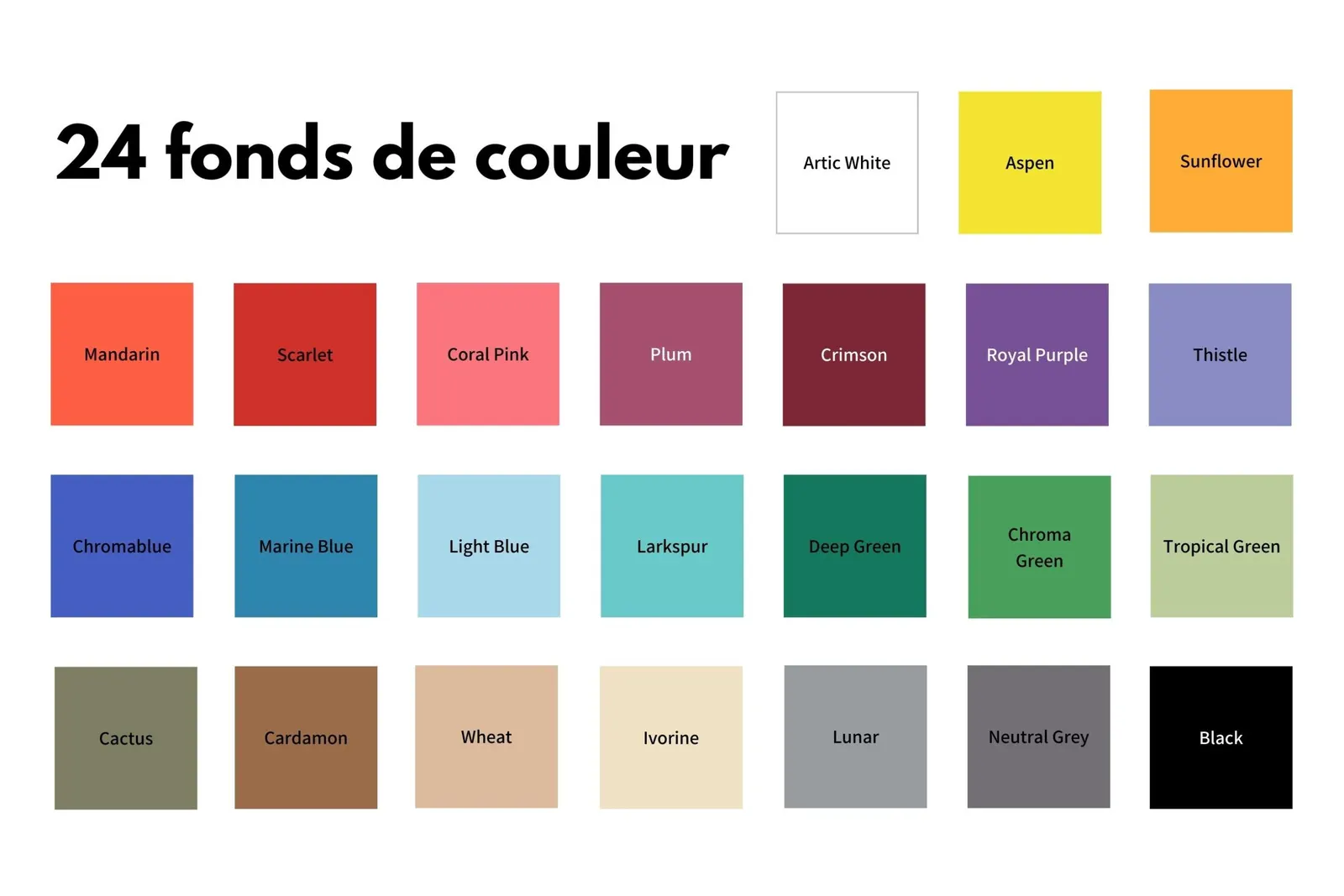 Nuancier des 24 fonds papier colorés disponibles au studio